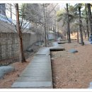 수림유치원 이미지