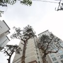 내손순환로 | 25. 의왕내손 우미린, LH 공가세대일반매각 2세대 선착순동호지정