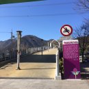 에덴당구장 | 에덴벨리 스키장 스노우보드 후기