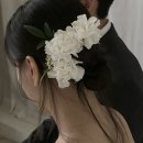 캐비앤원스탑 | [W-23] 클로드원스(스튜디오 콜레트) 웨딩촬영 후기 3탄 (도비 실크 슬림드레스)