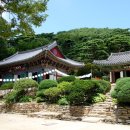 삼산남로 Daum카페