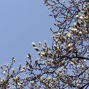 센트럴뷰세탁 이미지