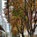 양산그린약국 이미지