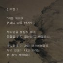 채근담(菜根譚) - 전집 제173장 / 나방이 미물일지라도 나방을 위해 등불을 켜지 않는다. 이미지