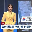 한국농아인협회 제주특별자치도협회 | 비장애인인 전 한국농아인협회 사무총장 조 씨, 농아인 직원에 갑질…바지를 내려 위협·돈 상납(감사비...