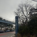 길따라 | 🌸 인천 월미공원 산책 후기🐶 벚꽃길 따라 힐링 산책