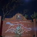 대운산자연휴양림(양산) | 부산근교 양산 대운산 자연휴양림 숲속의집 느티나무