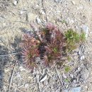 토종농장 이미지