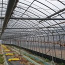 새순2농장 이미지