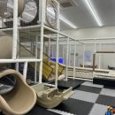 모넬로울산일산해수욕장점 이미지