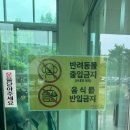 곤충생태관_3 | 대전곤충생태관 반딧불이 체험후기, 꿀잼도시 대전에서 꼭 가봐야할 무료 체험 추천