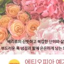 제이엠디(JMD)