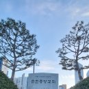 무스(Moose) 이미지