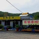 청화오리 이미지