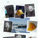 옥계리 경로당 이미지