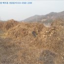 문의초등학교도원분교장 이미지