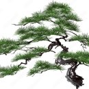 S.M.Korea