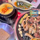 앞보다 뒷고기 | 창원 상남동 뒷고기 진짜 맛집, 솔직 후기 [불향]