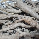 진호농장 이미지