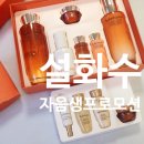 설화수사우나 이미지
