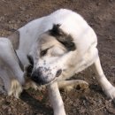 계양동물병원 이미지