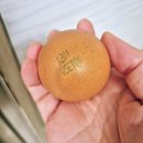 케이지랩 주식회사 | 양계장청년이 키운 믿을 수 있는 유정란, 난각1번