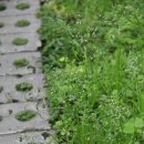 이원농장 이미지