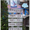 허브앤 이미지