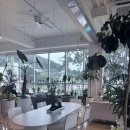 몰토커피 | 창원 귀산동 식물카페 [ 몰토 ] 젤라또 아이스크림 디저트 카페