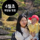 소나무유치원 | 화담숲 실시간 후기 (4월 초), 벚꽃 상태와 16개월 아기와 방문 꿀팁 정리(유모차/수유실/기저귀갈이대)