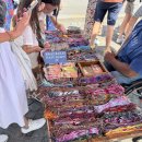 하늘언덕 | 몽마르뜨 언덕 // 화가의 거리, 식당 겸 카페 Le Tire-Bouchon 방문 후기