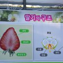 이루리농장 이미지