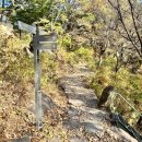 바우디자인아트 이미지