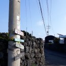 월백 민박 이미지