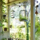 여름식물 인테리어 이미지