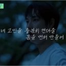 홍키통키