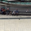 허궁다리 이미지