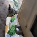 열우물로 이미지