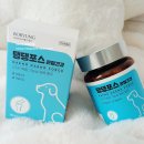 댕댕 | 보령 댕댕포스 강아지 관절 영양제 후기