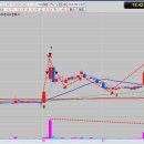 화성양행 이미지