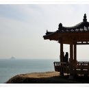 신평항 이미지