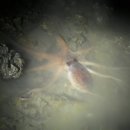 좋은날팬션 이미지