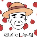 엠제이스토어