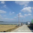 꿈쟁이하우스 이미지