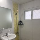 스테이 섬씽 울릉도 이미지