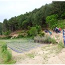 샛말농장 이미지