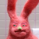 꽁떼