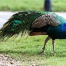 호텔 스테이 이미지