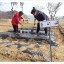 둥이네 농장 이미지