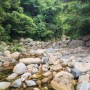 하금계곡(상류) 이미지